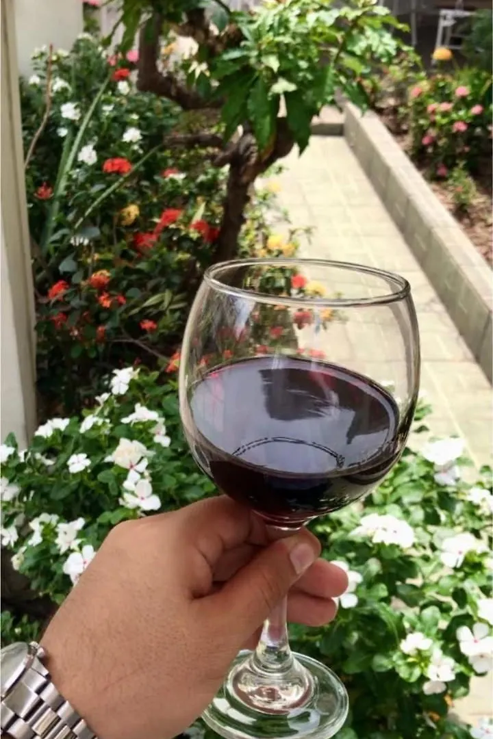Villa Garza Inn Guayaquil